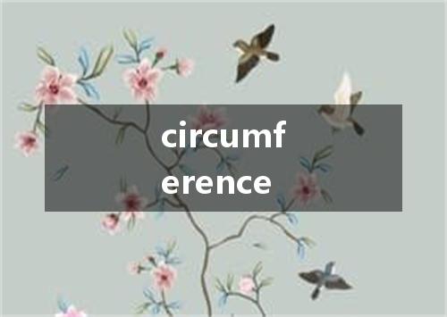 circumference是什么意思