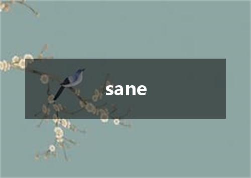 sane是什么意思