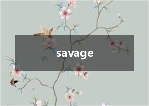 savage是什么意思