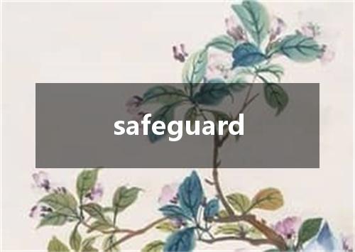 safeguard是什么意思
