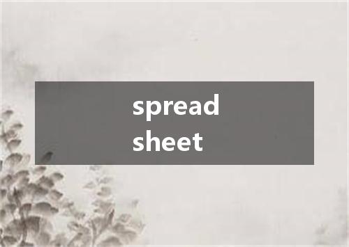 spreadsheet是什么意思