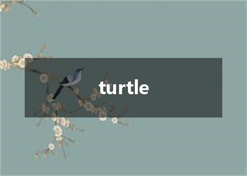 turtle是什么意思