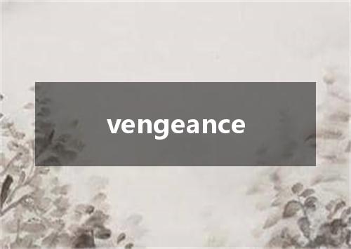 vengeance是什么意思