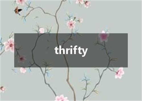 thrifty是什么意思