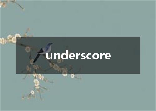 underscore是什么意思