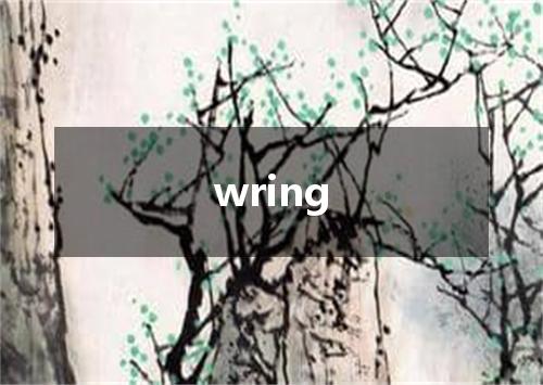 wring是什么意思