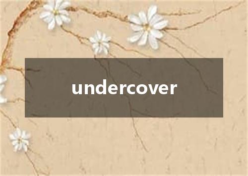 undercover是什么意思