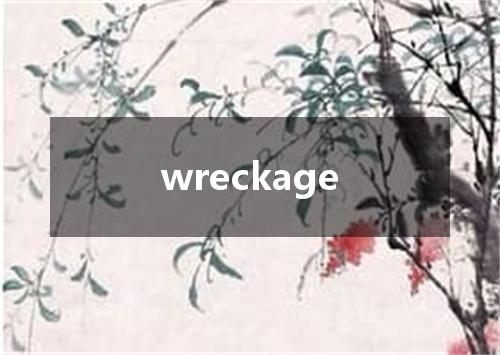 wreckage是什么意思