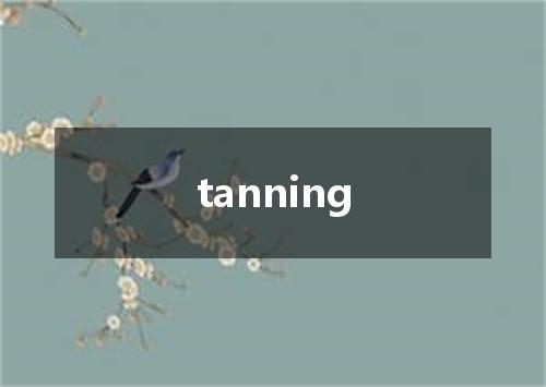 tanning是什么意思