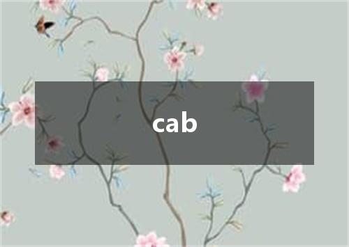 cab是什么意思