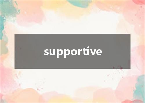 supportive是什么意思