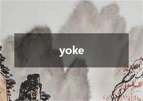 yoke是什么意思