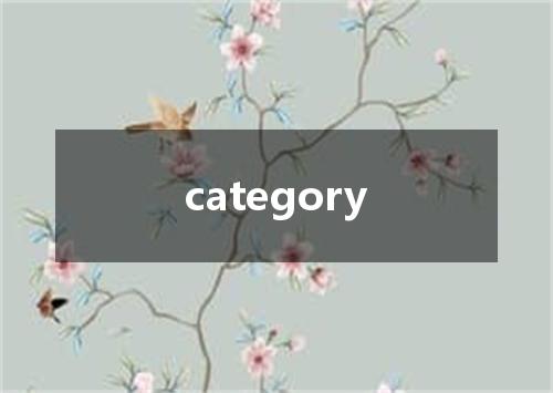 category是什么意思