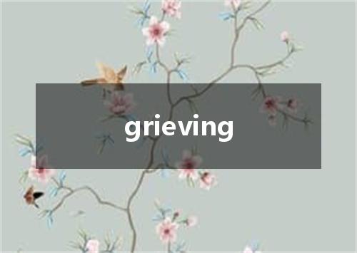 grieving是什么意思