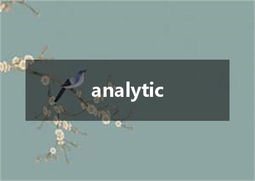 analytic是什么意思