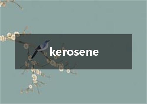 kerosene是什么意思