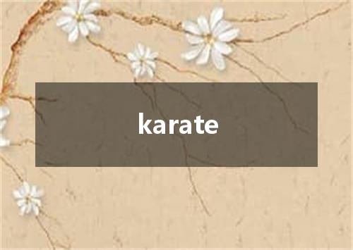 karate是什么意思