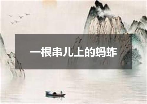 一根串儿上的蚂蚱