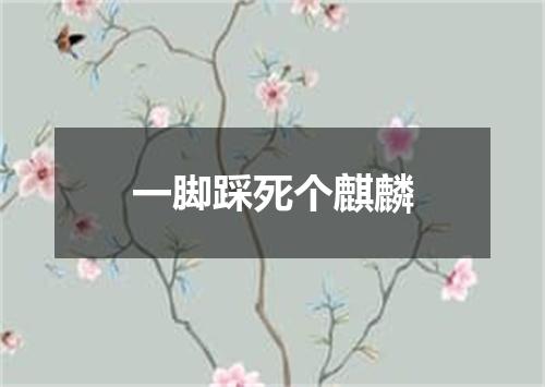 一脚踩死个麒麟