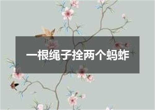 一根绳子拴两个蚂蚱