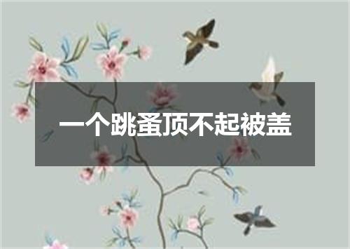 一个跳蚤顶不起被盖