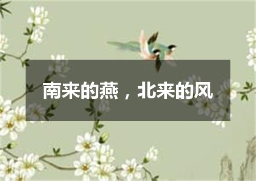 南来的燕，北来的风