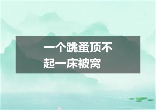 一个跳蚤顶不起一床被窝