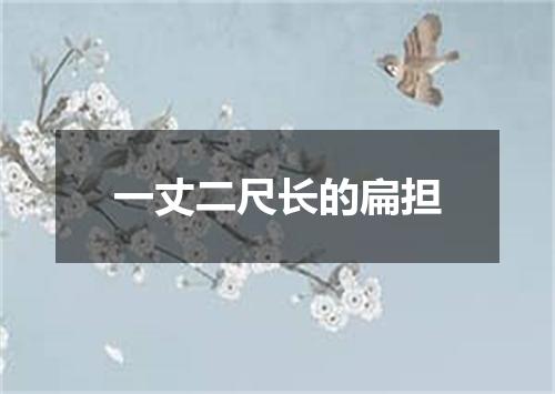 一丈二尺长的扁担