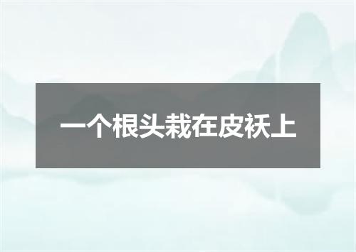 一个根头栽在皮袄上