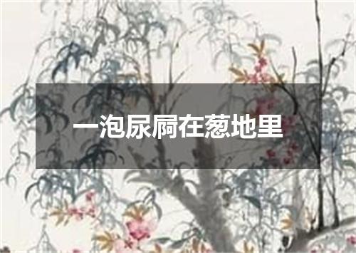 一泡尿屙在葱地里