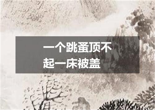 一个跳蚤顶不起一床被盖