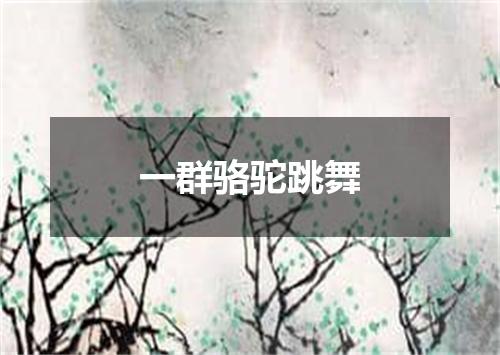 一群骆驼跳舞