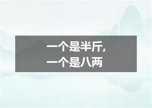 一个是半斤,一个是八两