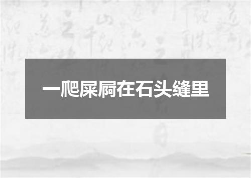 一爬屎屙在石头缝里
