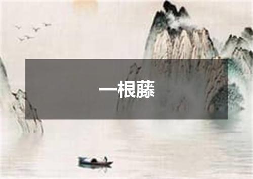 一根藤