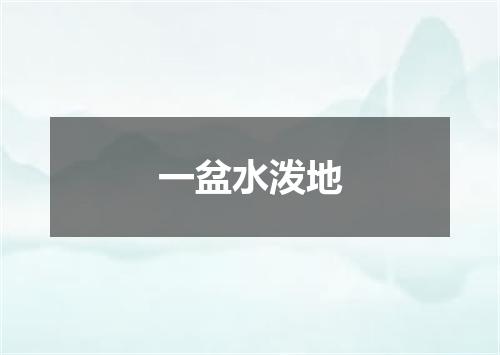一盆水泼地