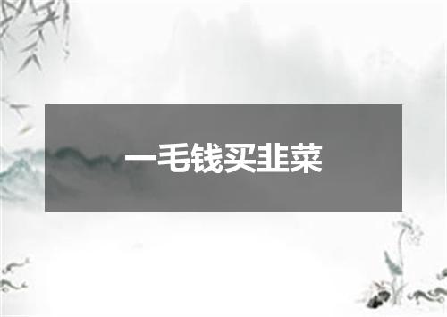 一毛钱买韭菜