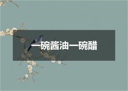 一碗酱油一碗醋