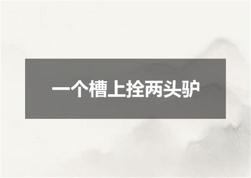 一个槽上拴两头驴