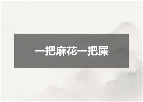 一把麻花一把屎