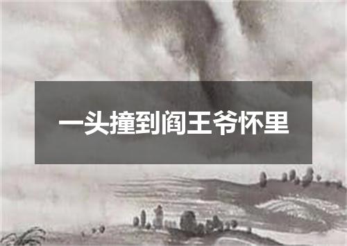 一头撞到阎王爷怀里