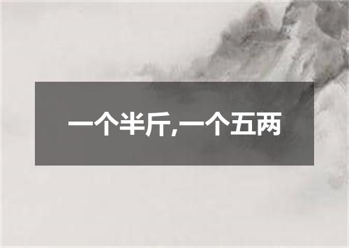 一个半斤,一个五两
