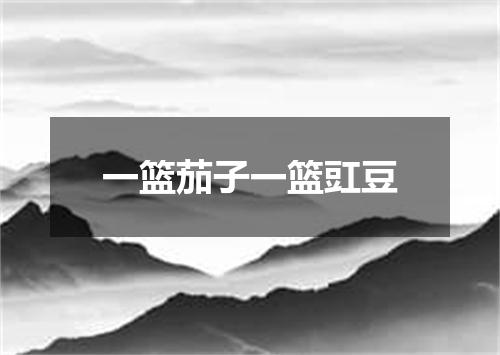 一篮茄子一篮豇豆