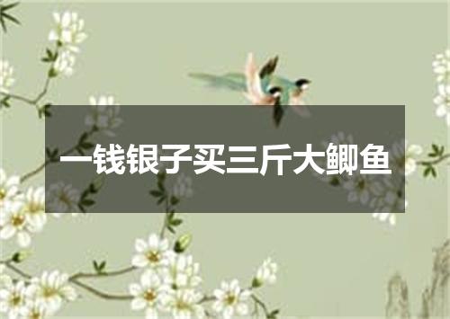 一钱银子买三斤大鲫鱼