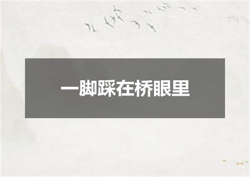一脚踩在桥眼里