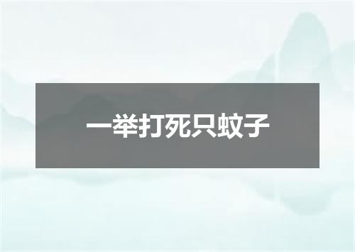一举打死只蚊子