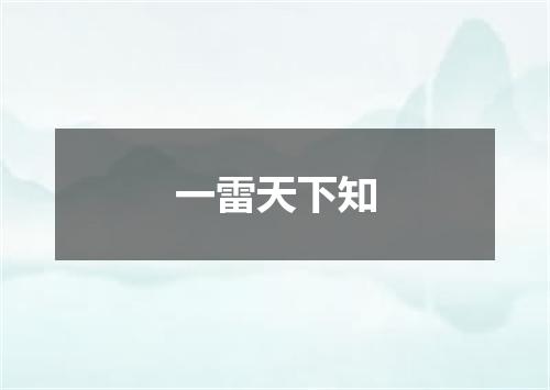 一雷天下知