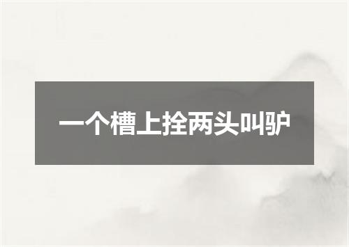 一个槽上拴两头叫驴