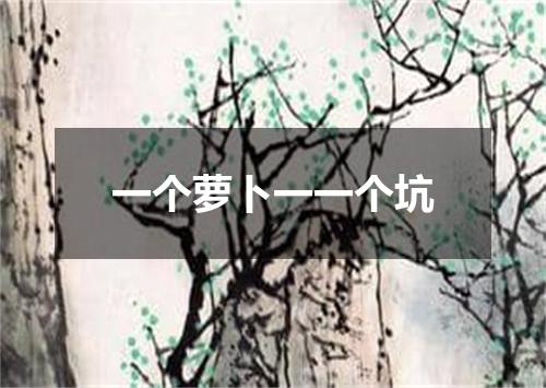 一个萝卜一一个坑