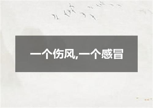 一个伤风,一个感冒